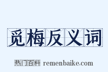 觅梅反义词是什么意思的图片